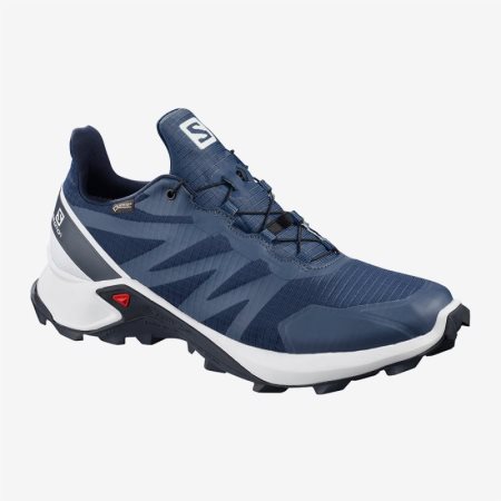 Salomon SUPERCROSS GTX Wanderschuhe Herren Navy [7TKN-K]